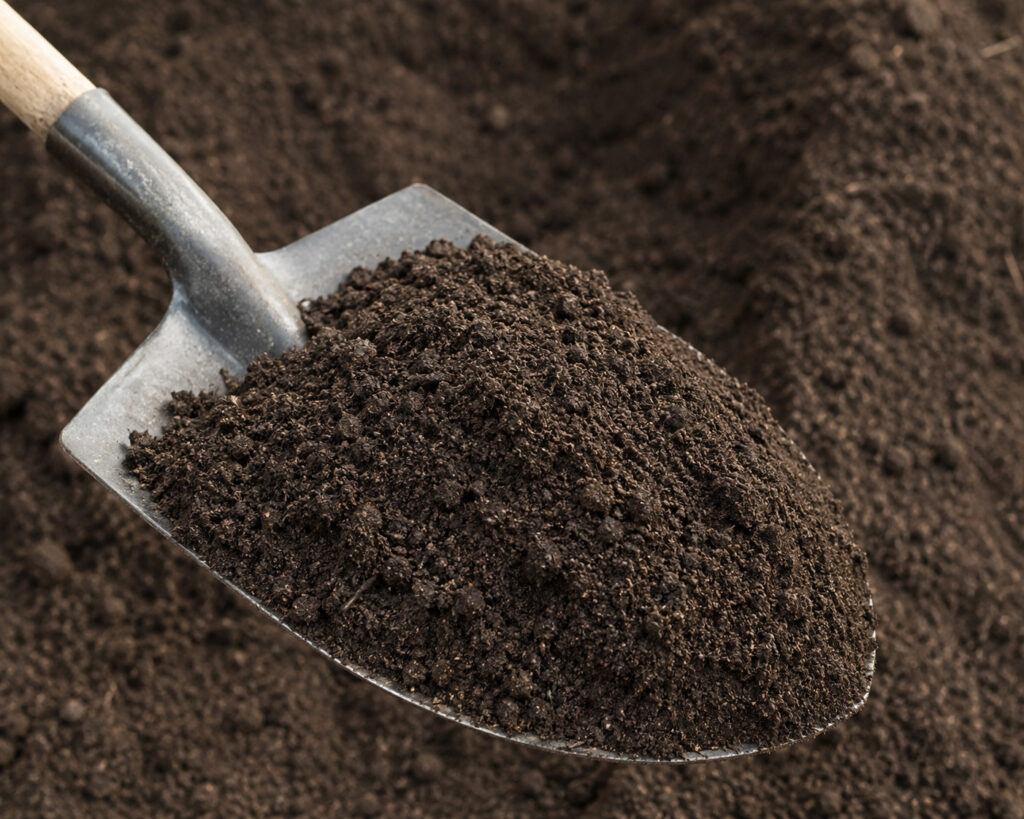 Topsoil