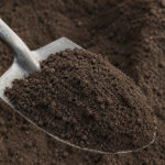 Topsoil